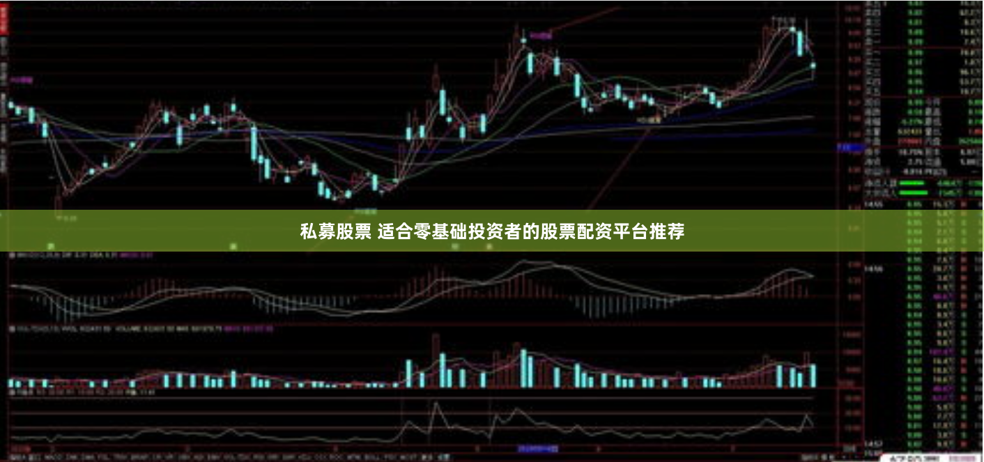 私募股票 适合零基础投资者的股票配资平台推荐
