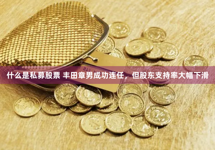 什么是私募股票 丰田章男成功连任，但股东支持率大幅下滑