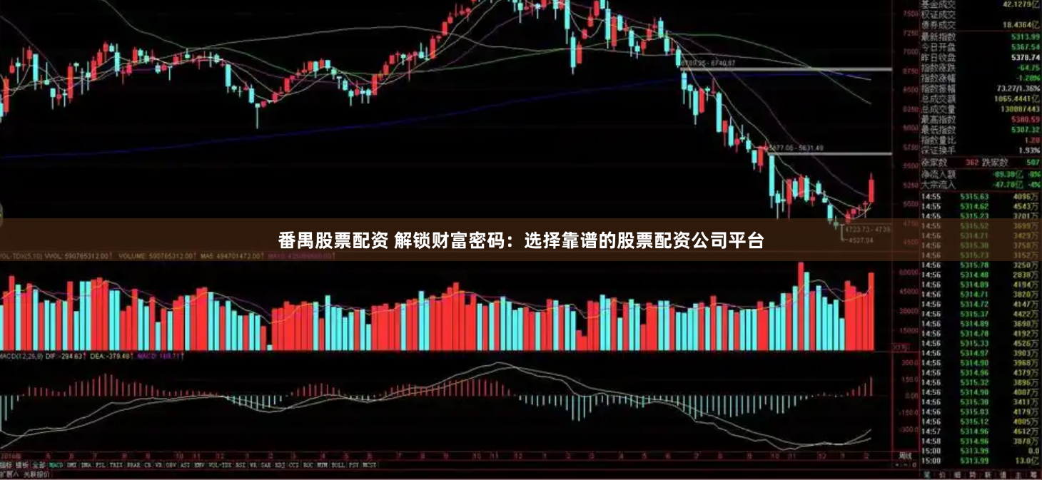 番禺股票配资 解锁财富密码：选择靠谱的股票配资公司平台